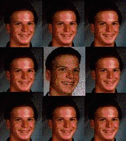 The Bradford Bunch