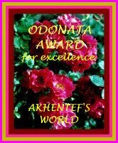 [Dragonfly Landing award]