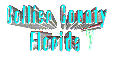 collier county
