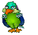 parrott_.gif (36k)