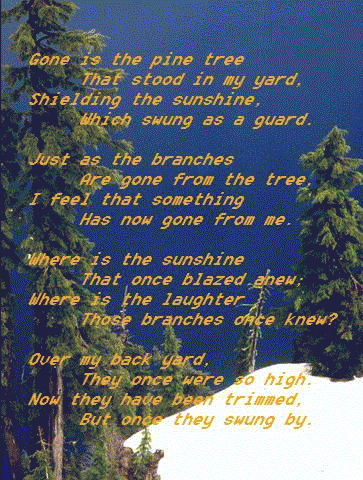 Pine Tree