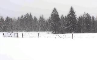 Campo nevado