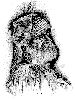 old man
