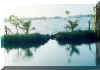 breach in the fish tank bund