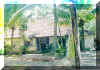 Palmgrove  view facing the Lake
