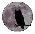 Owl Moon