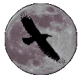 Raven Moon