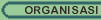 Organisasi