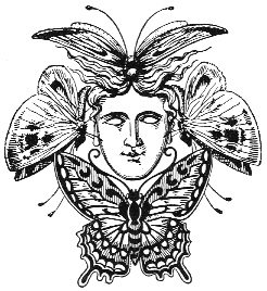 face with butterflies