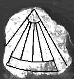 dqponton.jpg (4879 bytes)