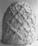Omphalos.The Universe