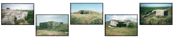 Bunkers
