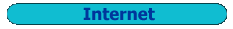 internet.gif (870 bytes)