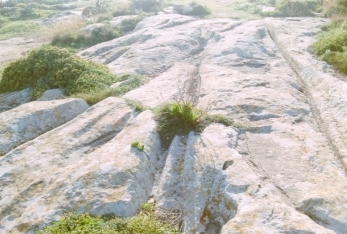 Ta Cenc Cart-Ruts