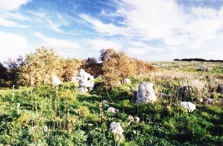 Qortin l-Imdawwar
