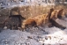 Tax-Xarolla Catacombs at Zurrieq