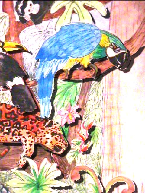 Tropical Rainforest painted by JB