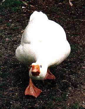  —  