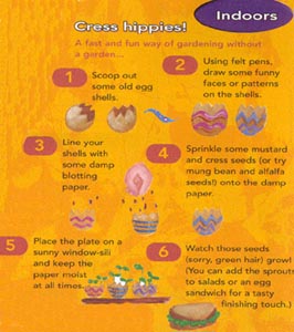 growing cress