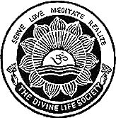 DLS Logo