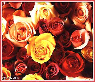 for mothers who grieve