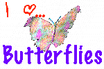 Dragonflies, butterflies, and ladybugs!!