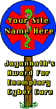 Cyber Care 
Award