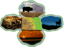 north dakota collage