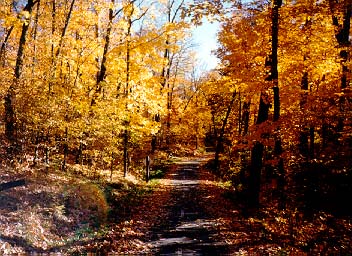 itasca