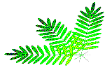 Click for more complex vv