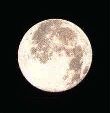 Full Moon Paradise