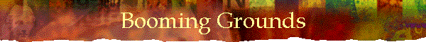 Booming Grounds