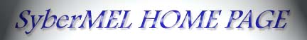 syhome banner