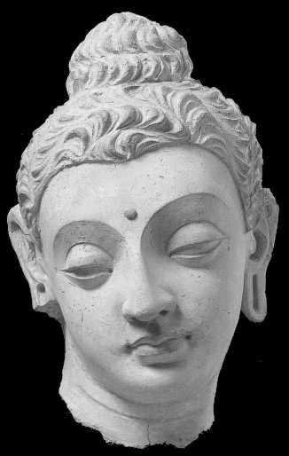 vipcom.jpg (15098 bytes)