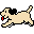 dog2