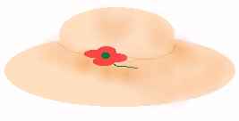 Picture of hat graphic by SJM