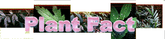 planbnr.gif (15681 bytes)