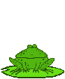 Frogs22.gif (3133 bytes)