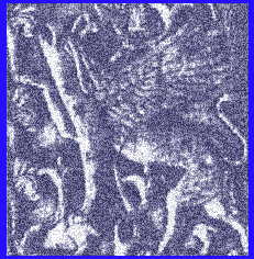 Ivory inlay showing griffin from Kalhu (modern Nimrud). Neo-Assyrian