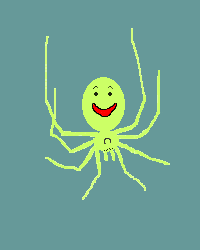 Spider A