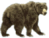 grizzlyb.gif (4749 bytes)