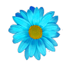 Blue flower