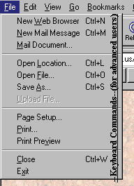 The File Menu