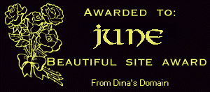 Beautiful Site Award from Dina's Domain