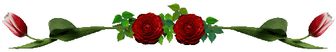floral divider