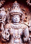 dqcorn.jpg (14295 bytes)