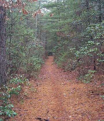 Big Rock Trail