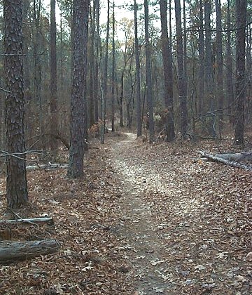 Horn Creek Trail