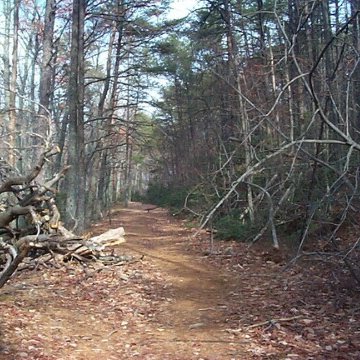 Sidehill Trail