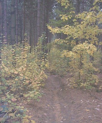 Simcoe Trail